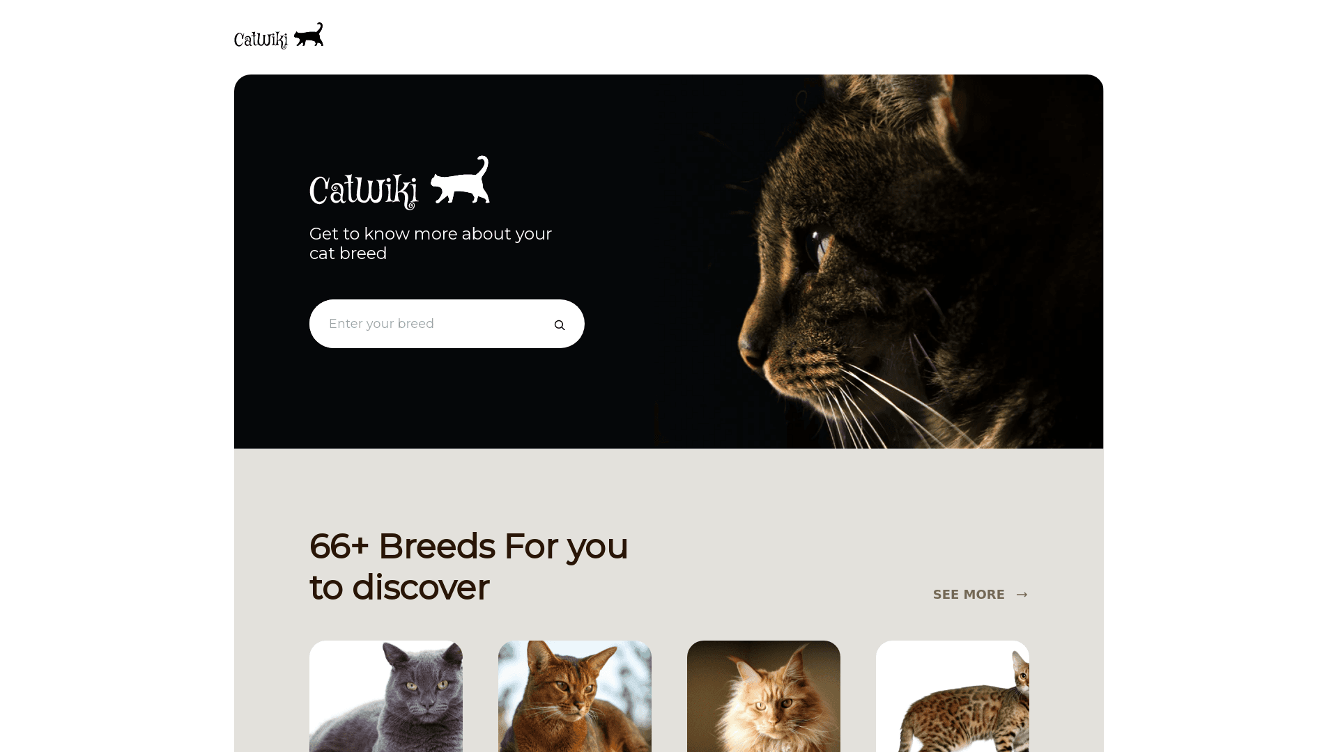 CatWiki